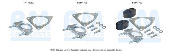 BM Catalysts FK11175