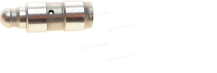 Borsehung B18207