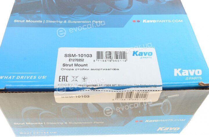 Kavo SSM-10103