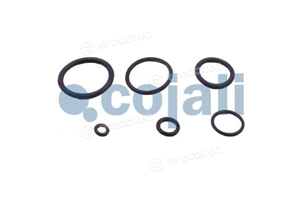 Cojali 6034002