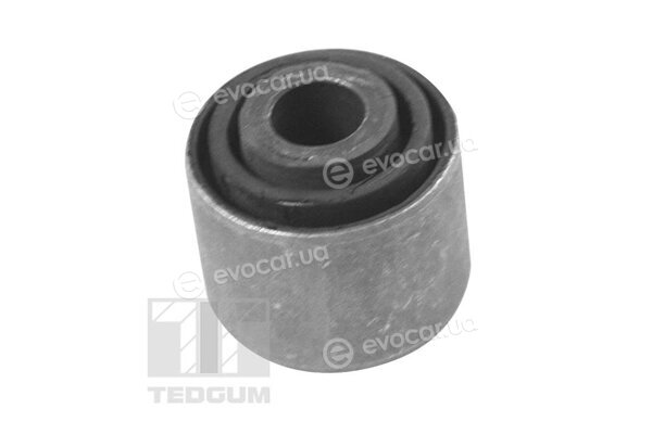 Tedgum 00349523