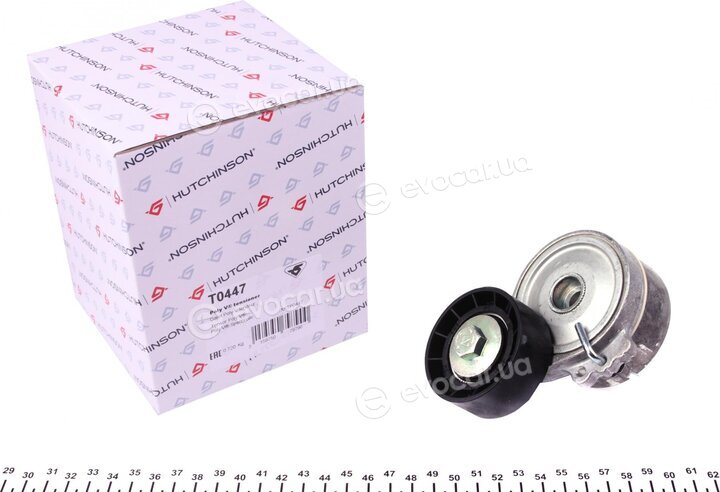 Hutchinson T0447