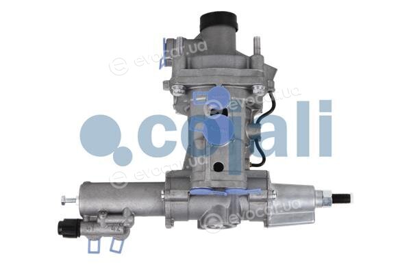 Cojali 2320301