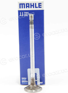 Mahle 013 VE 31276 000