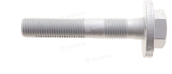 Solgy 204255