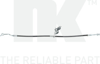 NK 859973