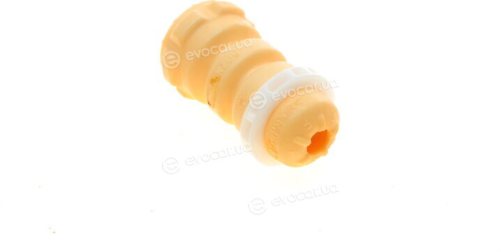 Borsehung B10023