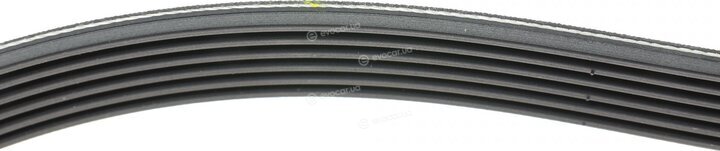 Hutchinson 1264 K 6