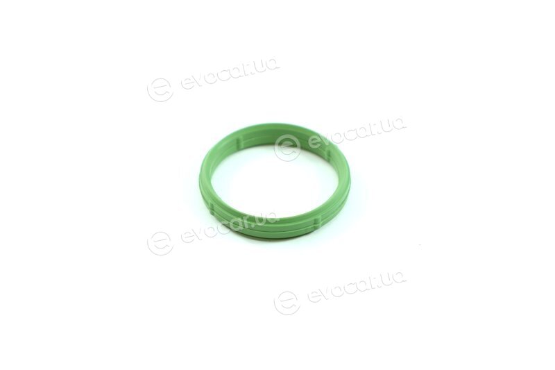 Elring 538.050