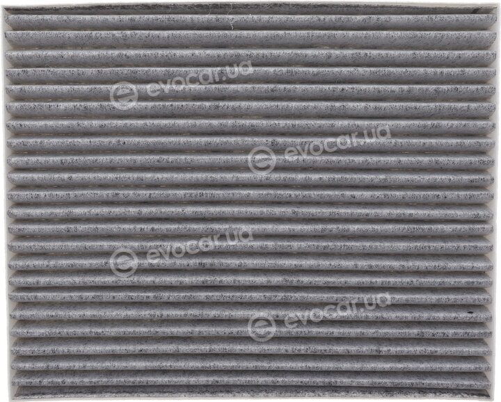 Solgy 104149