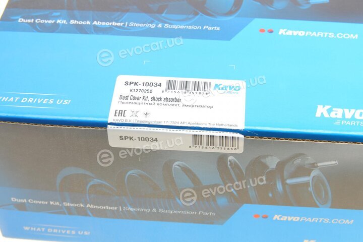 Kavo SPK-10034