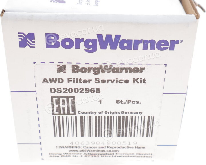 BorgWarner DS2002968