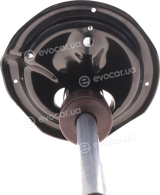 Sachs 313 549