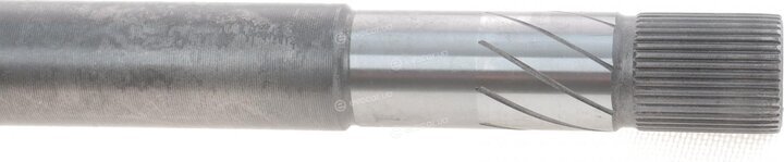 Magneti Marelli 302004190066