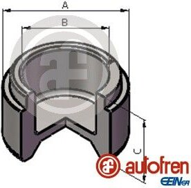 Autofren Seinsa D025519