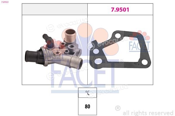 Facet 7.8153