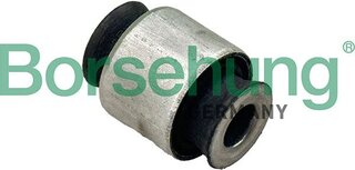 Borsehung B13407