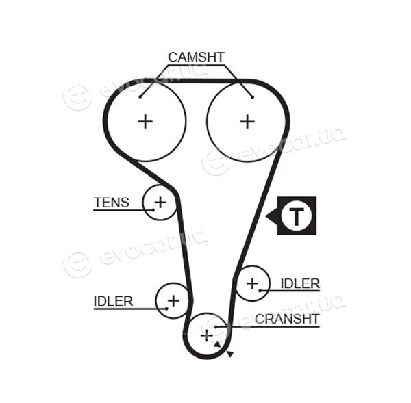 Gates K035360XS