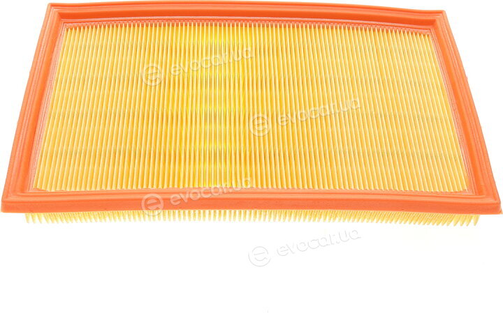 Mann C 29 020