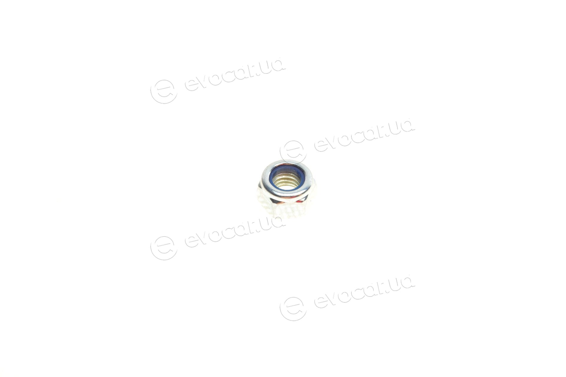 Solgy 203017