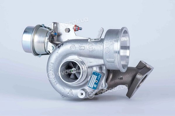 BorgWarner 53039907001