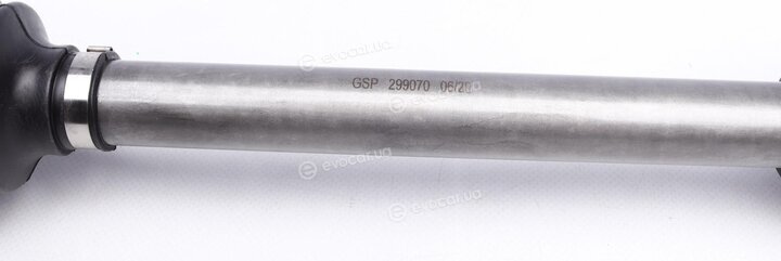 GSP 299070