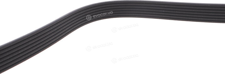 Dayco 7PK990