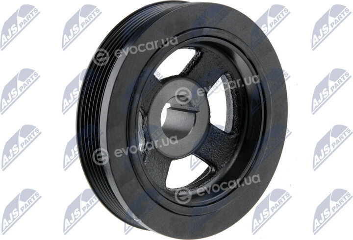 NTY RKP-MS-005