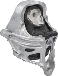 Reinhoch RH11-0176