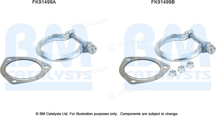 BM Catalysts FK91499