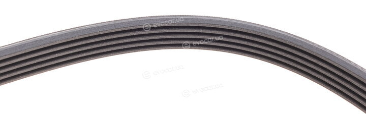 Continental 5PK1546