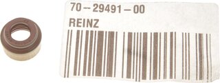 Victor Reinz 70-29491-00