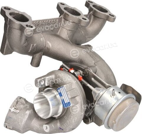 BorgWarner 54399900054