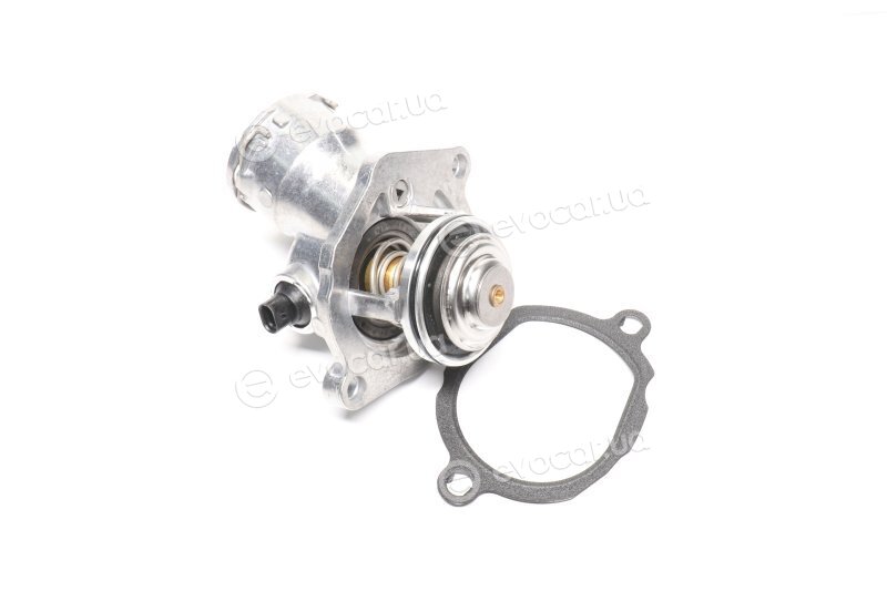 Wahler / BorgWarner 4834.100D