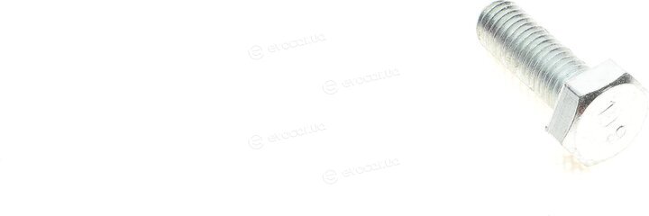 Solgy 203041