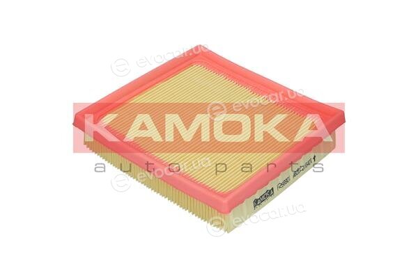 Kamoka F258901