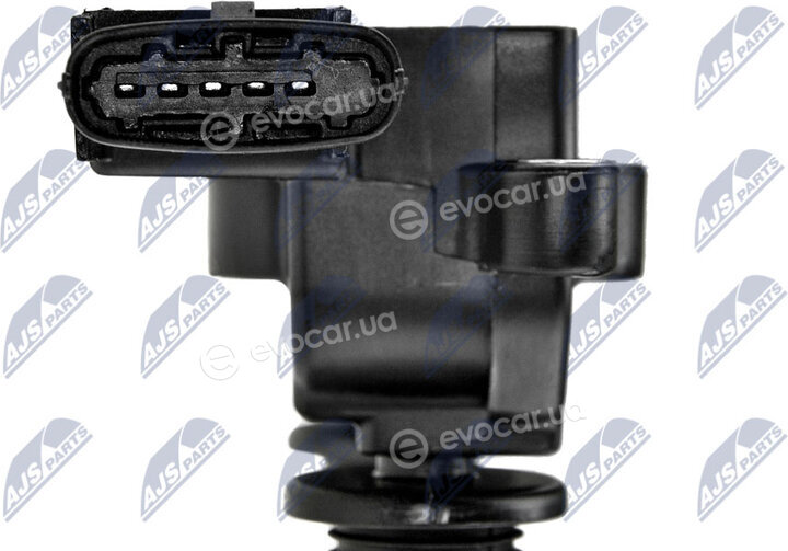 NTY ECZ-PL-004