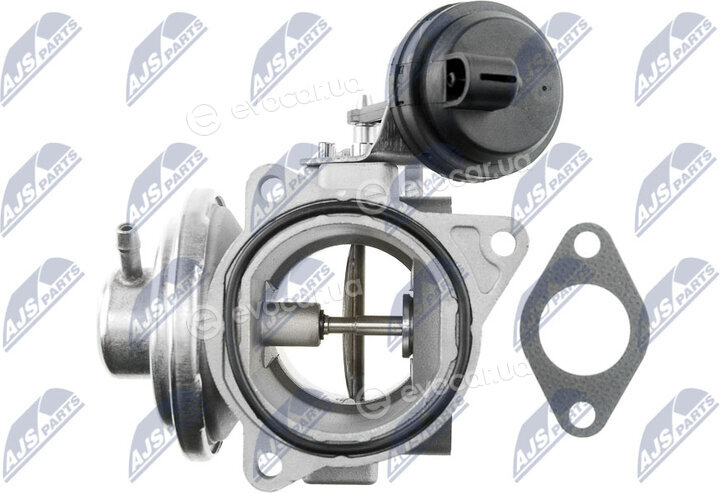 NTY EGR-VW-011