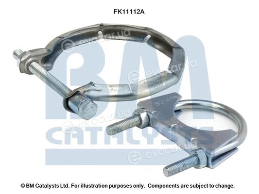 BM Catalysts FK11112