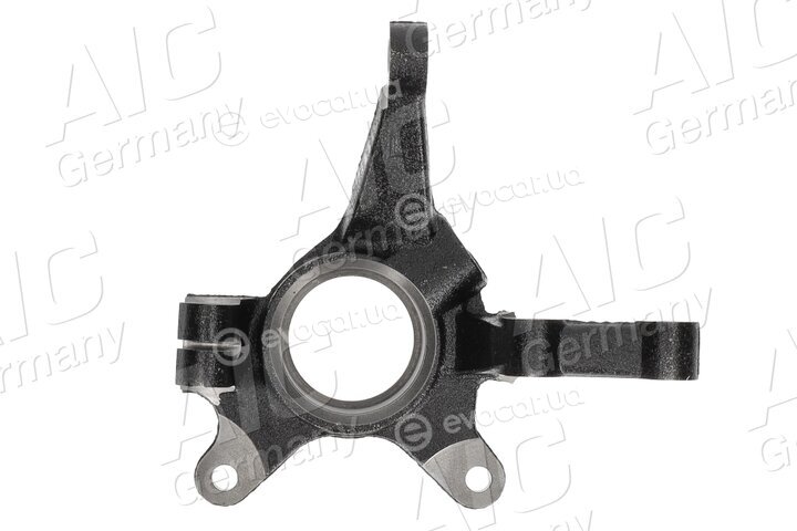 AIC 74665