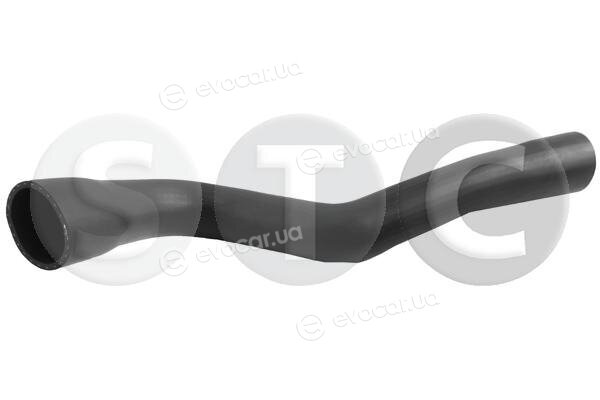 Metalcaucho / STC T499268