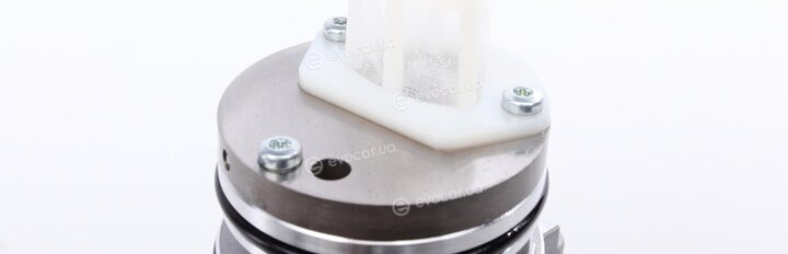 BorgWarner DS2010678