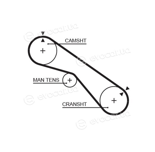 Gates K015321XS