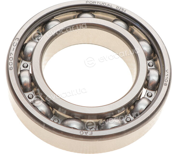 FAG 6007.C3