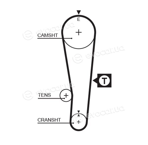 Gates K015382XS