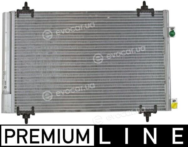 Mahle AC 667 000P