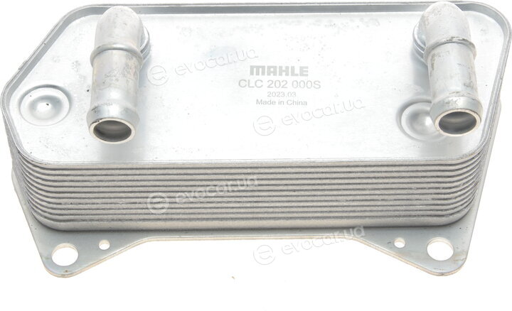 Mahle CLC 202 000S