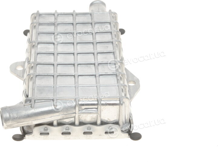 Solgy 112003