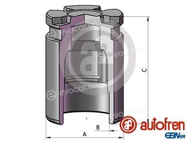 Autofren D025805