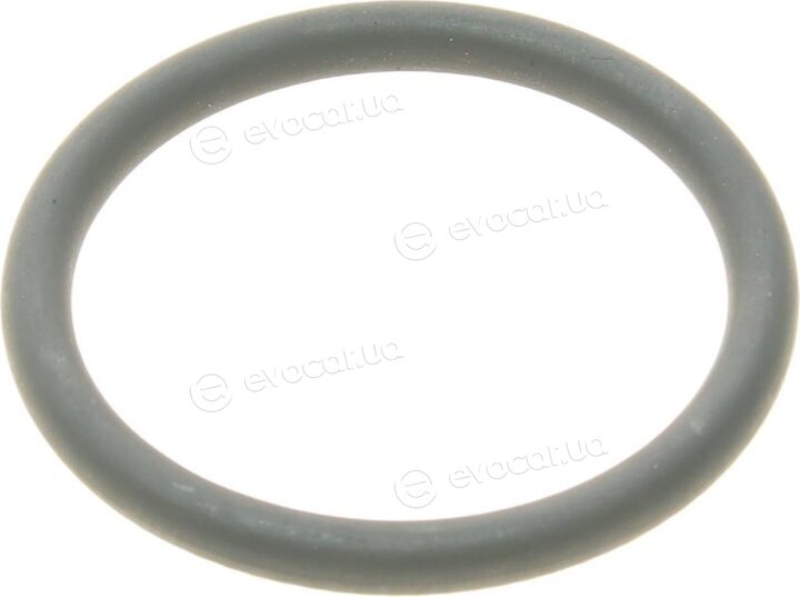 Elring 373.100